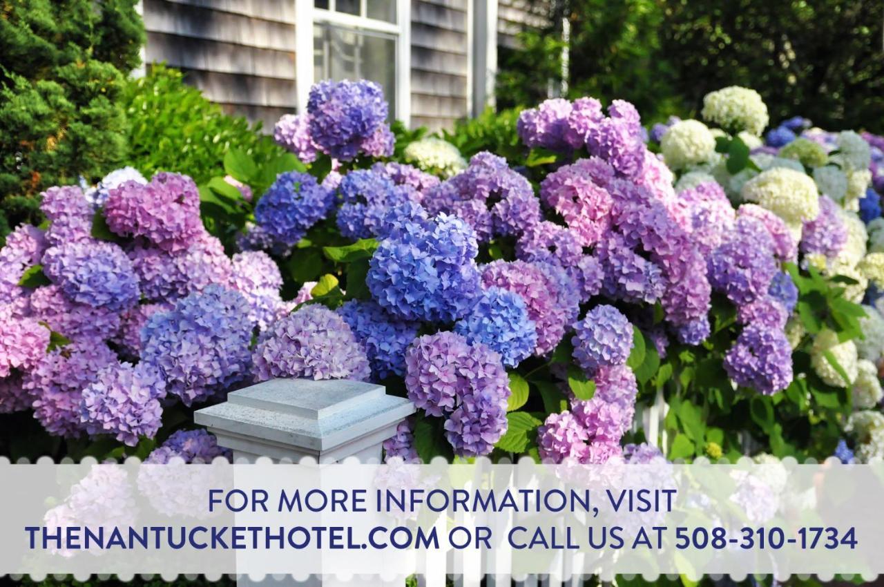 The Nantucket Hotel & Resort Exteriér fotografie